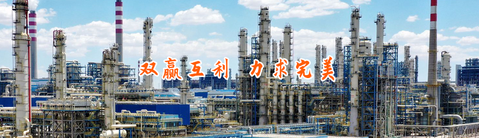 2015年“第十三屆中國(guó)國(guó)際屋面和建筑防水技術(shù)展覽會(huì)”推介會(huì)